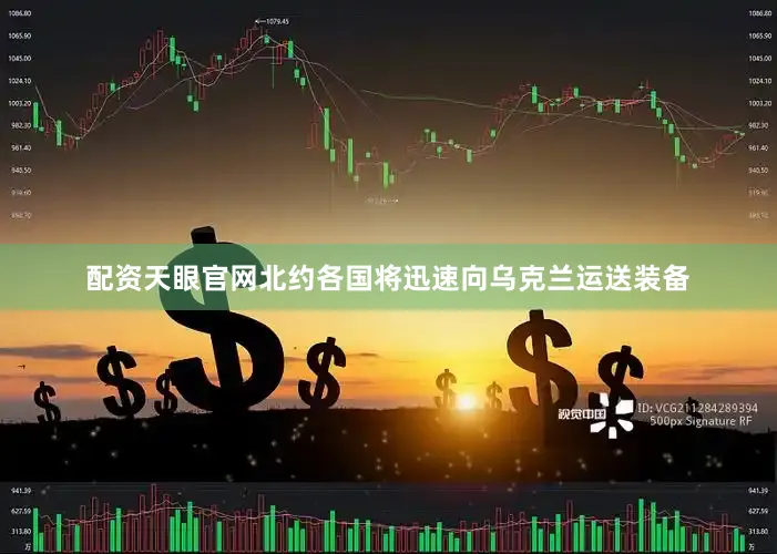 配资天眼官网北约各国将迅速向乌克兰运送装备