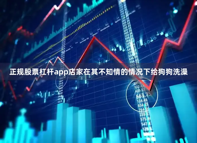 正规股票杠杆app店家在其不知情的情况下给狗狗洗澡